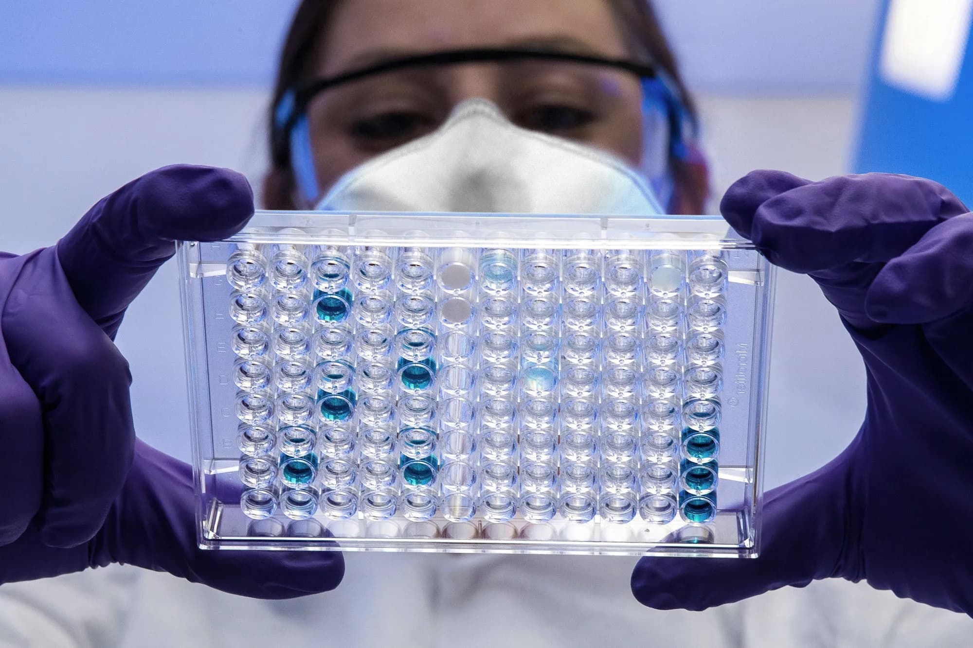 Laborplatte mit Proben, gehalten von Händen in Handschuhen